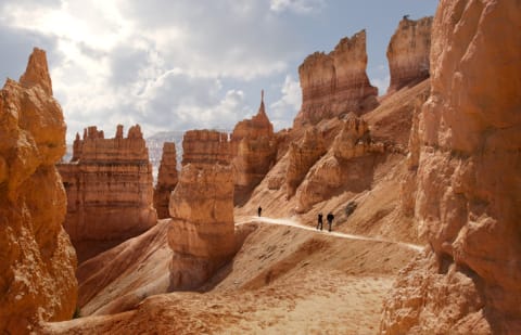 Parkgoers can now set availability a<em></em>lerts for tours of Bryce Canyon Natio<em></em>nal Park.